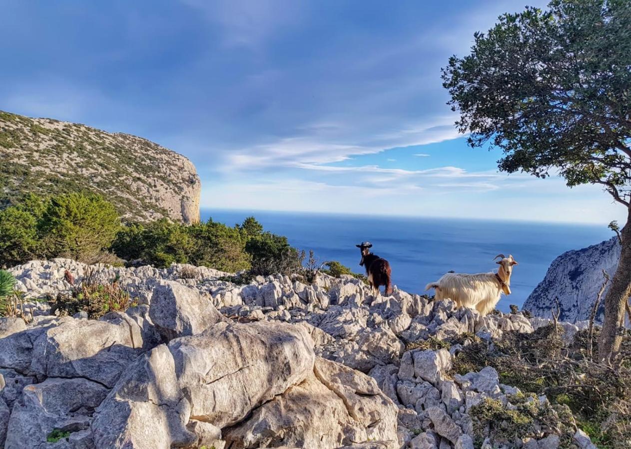 Appartamento Tra Mare E Montagna Baunei Zewnętrze zdjęcie